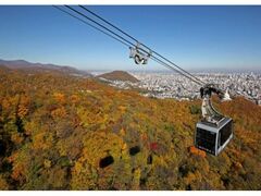 藻岩山の紅葉の写真1