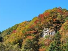鳥崎渓谷の紅葉の写真1