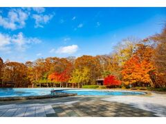 青葉公園の紅葉の写真1
