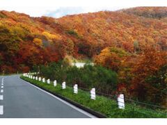 城岱スカイライン・城岱牧場の紅葉の写真1