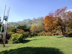 長橋なえぼ公園の紅葉の写真1