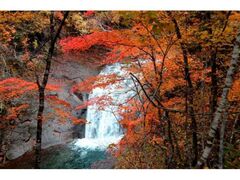 恵庭渓谷の紅葉の写真1
