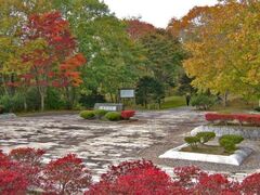 錦大沼公園の紅葉の写真1