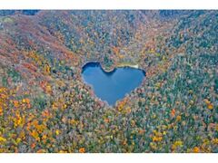 豊似湖の紅葉の写真1