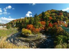 中野もみじ山の紅葉の写真1