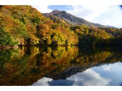 十二湖の紅葉の写真1