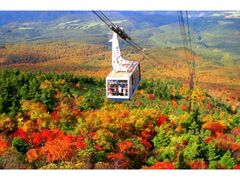 八甲田山の紅葉の写真1