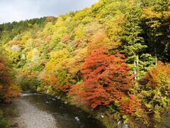 薬研渓流の紅葉の写真1