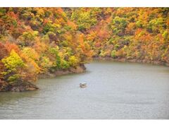 青葉湖の紅葉の写真1