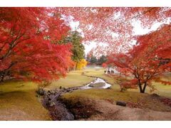 毛越寺の紅葉の写真1