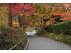 中尊寺の紅葉の写真1