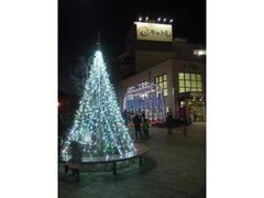 宮古の冬のイルミネーションの写真1