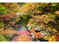 久慈渓流の紅葉の写真1
