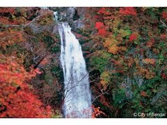 秋保大滝の紅葉の写真1