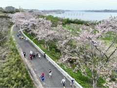 東北風土マラソン2026の写真1