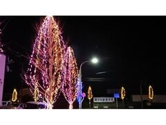 豊里駅前冬の蛍通りの写真1