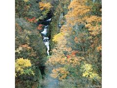 二口峡谷の紅葉の写真1