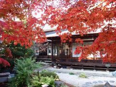 壽丸屋敷の紅葉の写真1