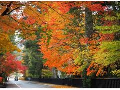 角館武家屋敷通りの紅葉の写真1