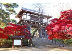 千秋公園の紅葉の写真1