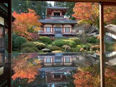 大龍寺楽水亭庭園の紅葉の写真1