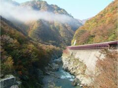 赤芝峡の紅葉の写真1