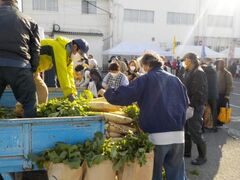 天童市農業まつりの写真1