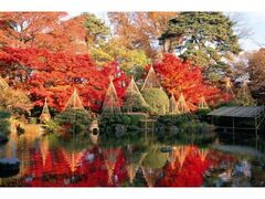もみじ公園(旧宝幢寺跡)の紅葉の写真1