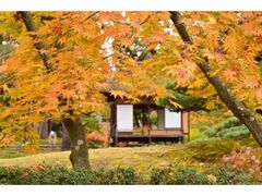 御薬園の紅葉の写真1