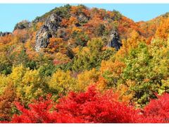 霊山紅葉まつりの写真1