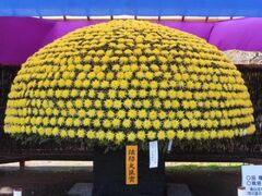 二本松の菊人形の写真1