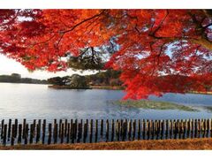 南湖公園の紅葉の写真1