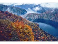 田子倉湖の紅葉の写真1