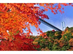 竜神峡の紅葉の写真1