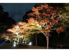 偕楽園の紅葉の写真1
