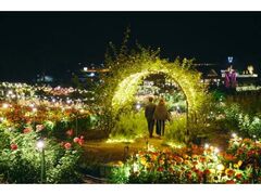 いばらきフラワーパーク Moonlight Rose Gardenの写真1