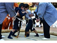 相撲祭の写真1