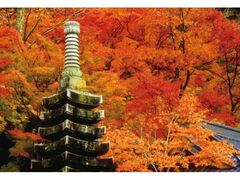 永源寺の紅葉の写真1