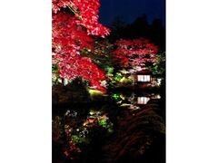 日光山輪王寺 逍遥園ライトアップの写真1