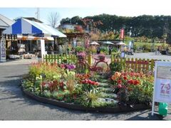 鹿沼園芸フェアの写真1