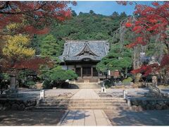 修禅寺 初詣の写真1