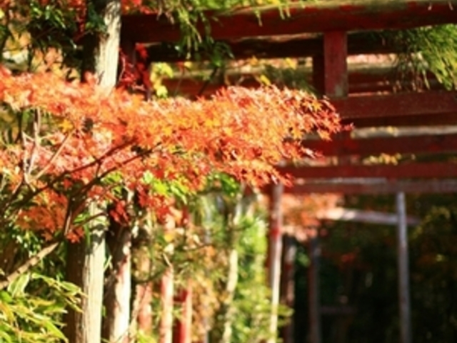 岩屋堂公園
