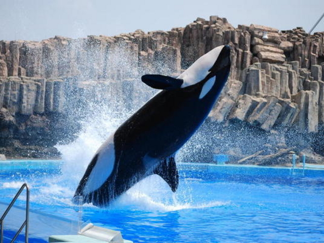 名古屋港水族館