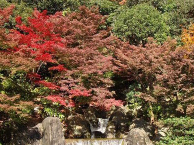 万博記念公園・日本庭園