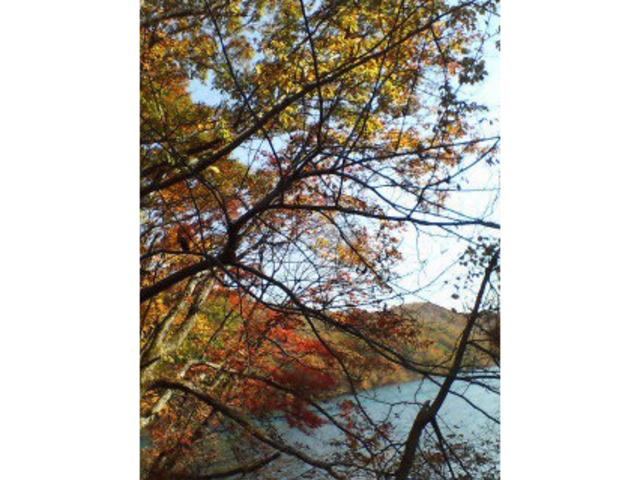 チャッピーさんの南蔵王の紅葉の投稿写真1