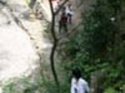 shirobeさんの鼓が滝の投稿写真1