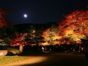 specaさんの高台寺の投稿写真1