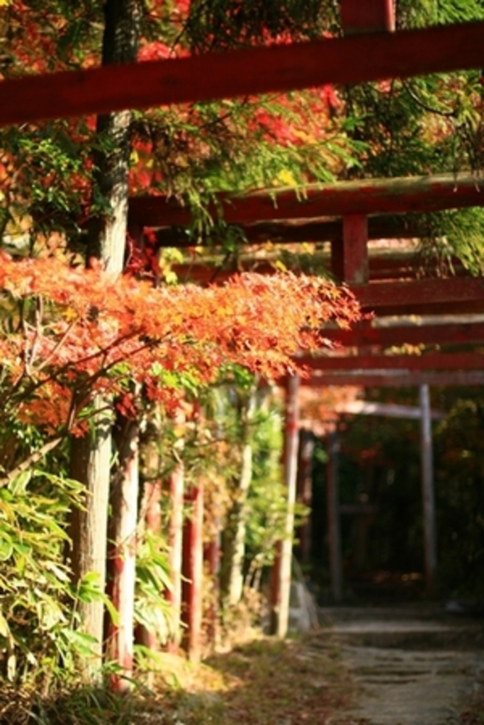 岩屋堂公園