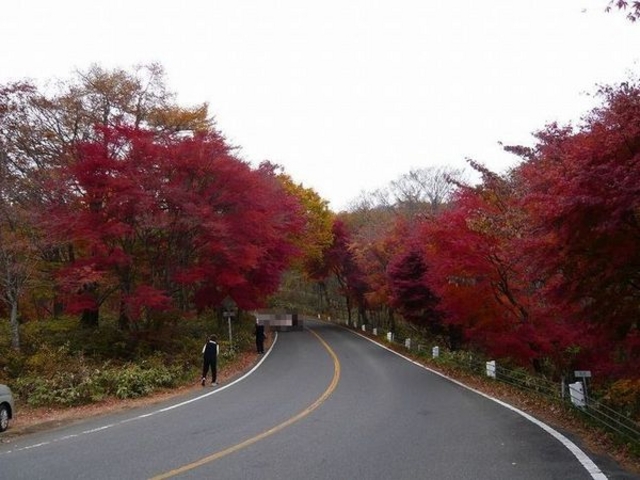 日塩もみじライン