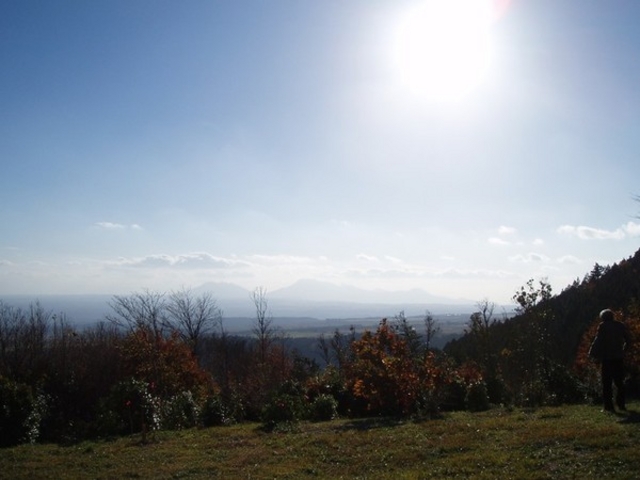 ムサシさんの沢水キャンプ場の投稿写真1
